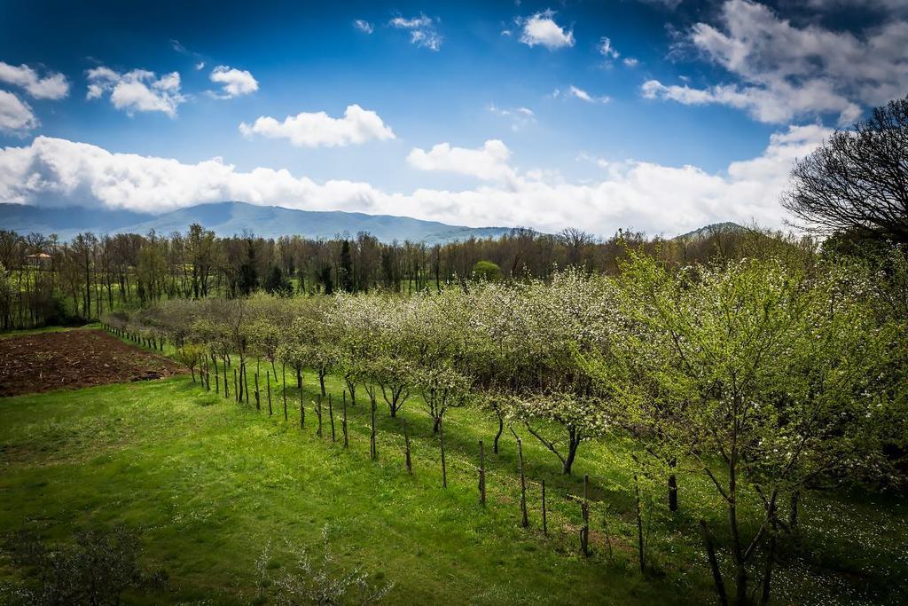 La Dolce Mela Villa Buonabitacolo Exterior foto